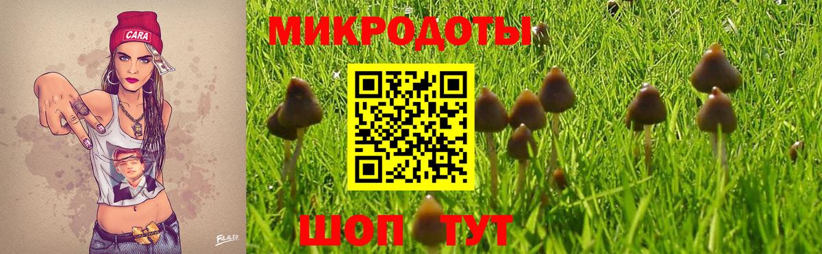 Галлюциногенные грибы мицелий  Псилоцибиновые грибы Magic Shrooms  Вход с VPN  Сунжа 