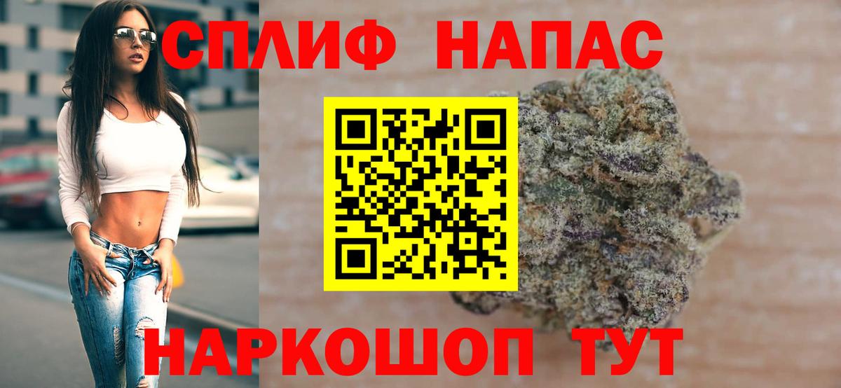 Бошки Шишки ГИДРОПОН  Вход с VPN  МАРИХУАНА семена  Сунжа 